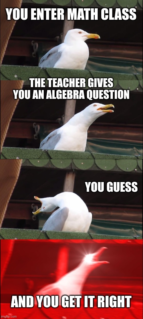 Inhaling Seagull | YOU ENTER MATH CLASS; THE TEACHER GIVES YOU AN ALGEBRA QUESTION; YOU GUESS; AND YOU GET IT RIGHT | image tagged in memes,inhaling seagull | made w/ Imgflip meme maker