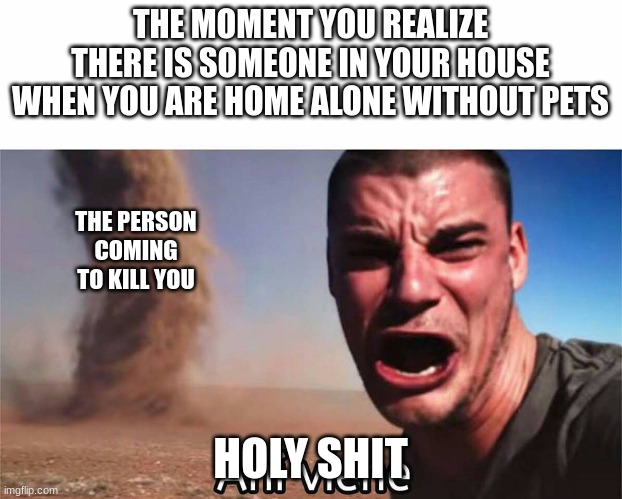 that one moment | THE MOMENT YOU REALIZE THERE IS SOMEONE IN YOUR HOUSE WHEN YOU ARE HOME ALONE WITHOUT PETS; THE PERSON COMING TO KILL YOU; HOLY SHIT | image tagged in ah viene momo | made w/ Imgflip meme maker