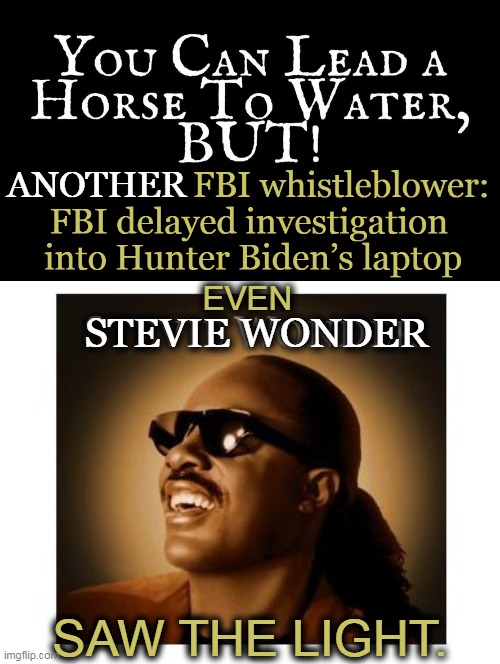 FBI Officials Told Agents Not to Investigate Hunter Biden Laptop ahead of 2020 Election, Whistleblower Says | ANOTHER; EVEN; STEVIE WONDER; SAW THE LIGHT. | image tagged in politics,fbi,corruption,fumbling bumbling idiots,dirty,democrats | made w/ Imgflip meme maker