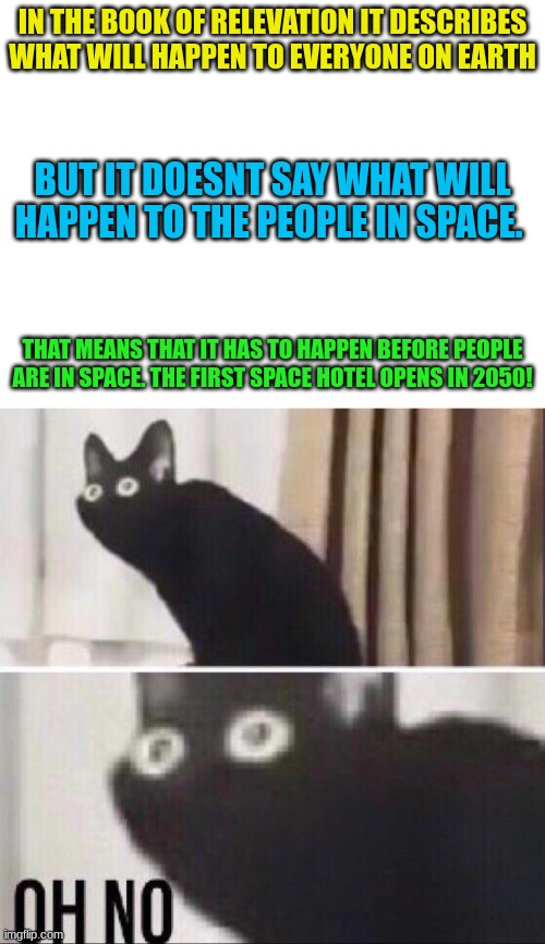 Wait what | IN THE BOOK OF RELEVATION IT DESCRIBES WHAT WILL HAPPEN TO EVERYONE ON EARTH; BUT IT DOESNT SAY WHAT WILL HAPPEN TO THE PEOPLE IN SPACE. THAT MEANS THAT IT HAS TO HAPPEN BEFORE PEOPLE ARE IN SPACE. THE FIRST SPACE HOTEL OPENS IN 2050! | image tagged in blank white template,oh no cat | made w/ Imgflip meme maker