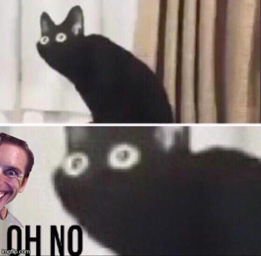 e | image tagged in oh no cat | made w/ Imgflip meme maker