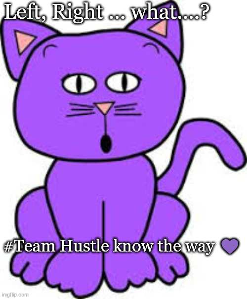 Team Hustle knows the way | Left, Right ... what....? #Team Hustle know the way 💜 | image tagged in hustle,purple cat | made w/ Imgflip meme maker