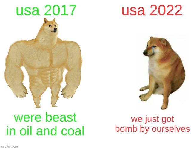 the past |  usa 2017; usa 2022; were beast in oil and coal; we just got bomb by ourselves | image tagged in memes,buff doge vs cheems | made w/ Imgflip meme maker
