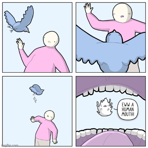 Bird | image tagged in birds,bird,mouth,comics,comic,comics/cartoons | made w/ Imgflip meme maker