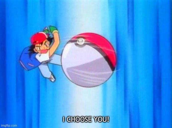 I choose you! | I CHOOSE YOU! | image tagged in i choose you | made w/ Imgflip meme maker