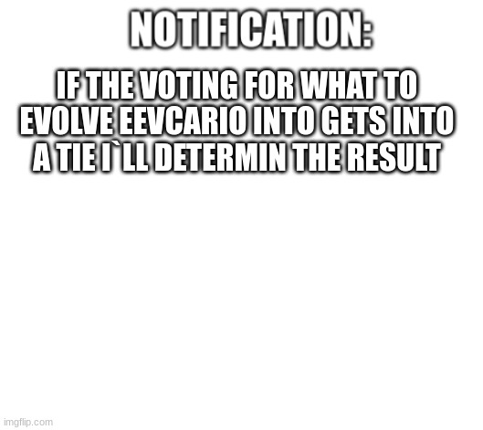 for your information on the vote | IF THE VOTING FOR WHAT TO EVOLVE EEVCARIO INTO GETS INTO A TIE I`LL DETERMIN THE RESULT | image tagged in notification | made w/ Imgflip meme maker