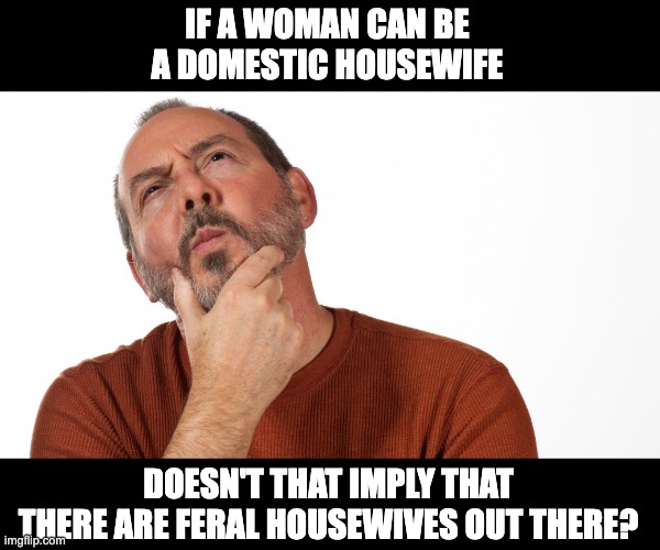 Domestic | IF A WOMAN CAN BE A DOMESTIC HOUSEWIFE; DOESN'T THAT IMPLY THAT THERE ARE FERAL HOUSEWIVES OUT THERE? | image tagged in hmmm | made w/ Imgflip meme maker