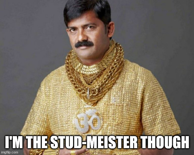 Bob and vagene | I'M THE STUD-MEISTER THOUGH | image tagged in bob and vagene | made w/ Imgflip meme maker