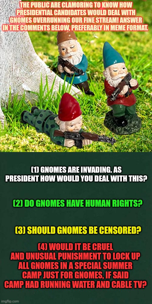 Presidential questionnaire | THE PUBLIC ARE CLAMORING TO KNOW HOW PRESIDENTIAL CANDIDATES WOULD DEAL WITH GNOMES OVERRUNNING OUR FINE STREAM! ANSWER IN THE COMMENTS BELOW, PREFERABLY IN MEME FORMAT. (1) GNOMES ARE INVADING. AS PRESIDENT HOW WOULD YOU DEAL WITH THIS? (2) DO GNOMES HAVE HUMAN RIGHTS? (3) SHOULD GNOMES BE CENSORED? (4) WOULD IT BE CRUEL AND UNUSUAL PUNISHMENT TO LOCK UP ALL GNOMES IN A SPECIAL SUMMER CAMP JUST FOR GNOMES, IF SAID CAMP HAD RUNNING WATER AND CABLE TV? | image tagged in plain dark green square,gnomes,important,political,questions | made w/ Imgflip meme maker