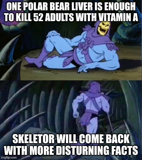 clever title | ONE POLAR BEAR LIVER IS ENOUGH TO KILL 52 ADULTS WITH VITAMIN A; SKELETOR WILL COME BACK WITH MORE DISTURBING FACTS | image tagged in skelator facts | made w/ Imgflip meme maker
