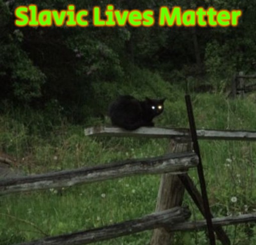 cat staring | Slavic Lives Matter | image tagged in cat staring,slavic | made w/ Imgflip meme maker