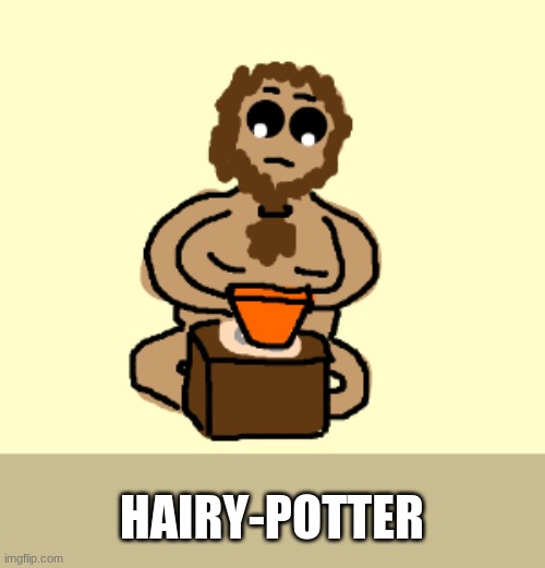 HAIRY-POTTER | made w/ Imgflip meme maker