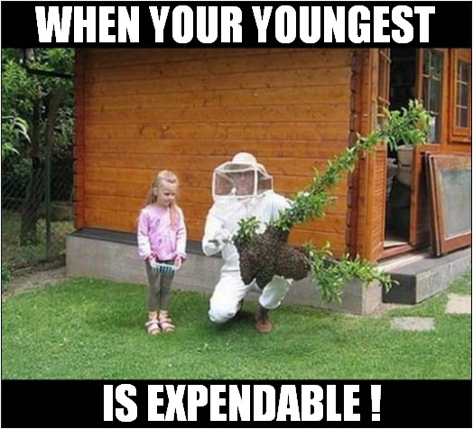 Evil Bee Keeper ! | WHEN YOUR YOUNGEST; IS EXPENDABLE ! | image tagged in bee keeping,protection,child,expendable | made w/ Imgflip meme maker