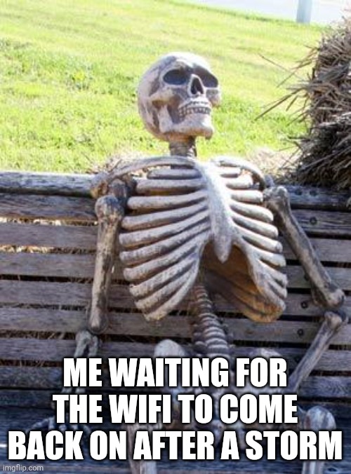 Wi-Fi trash | ME WAITING FOR THE WIFI TO COME BACK ON AFTER A STORM | image tagged in memes,waiting skeleton | made w/ Imgflip meme maker