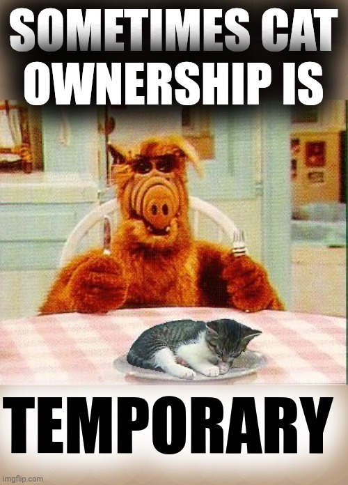 Alf and Cat | SOMETIMES CAT
OWNERSHIP IS TEMPORARY | image tagged in alf and cat | made w/ Imgflip meme maker