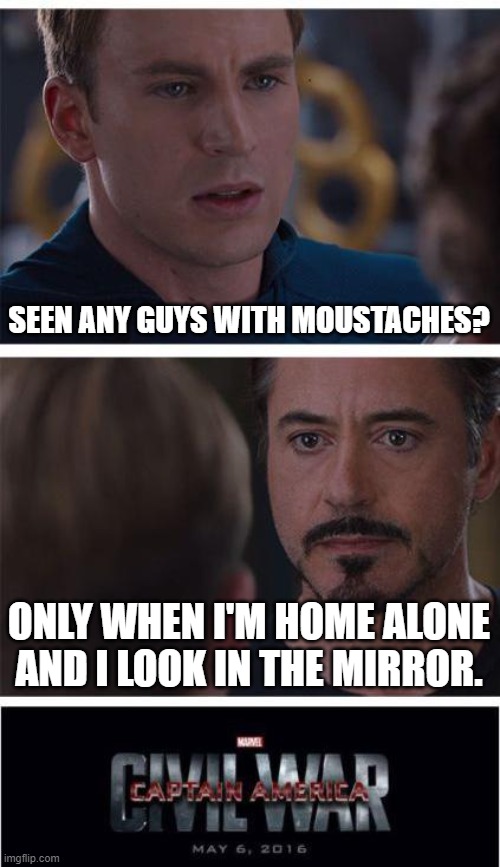 Simple Question | SEEN ANY GUYS WITH MOUSTACHES? ONLY WHEN I'M HOME ALONE AND I LOOK IN THE MIRROR. | image tagged in memes,marvel civil war 1,moustaches | made w/ Imgflip meme maker