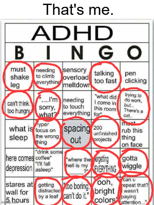 b i n g o | That's me. | image tagged in adhd bingo,idk,facts | made w/ Imgflip meme maker