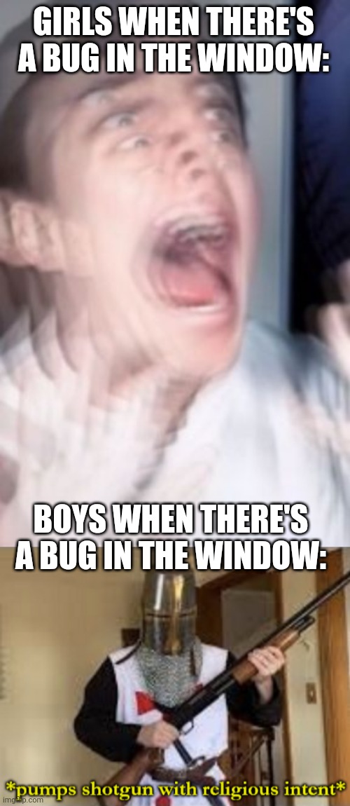  GIRLS WHEN THERE'S A BUG IN THE WINDOW:; BOYS WHEN THERE'S A BUG IN THE WINDOW: | image tagged in freaking out,bugs,boys vs girls,funny,loads shotgun with malicious intent,funny memes | made w/ Imgflip meme maker