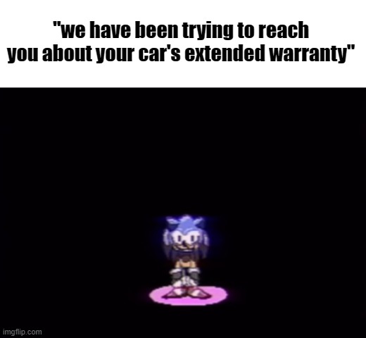 needlemouse stare | "we have been trying to reach you about your car's extended warranty" | image tagged in needlemouse stare | made w/ Imgflip meme maker