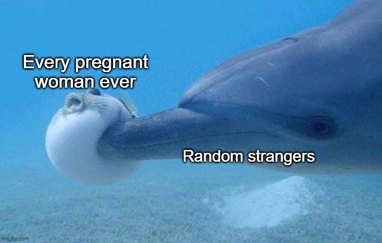 Don't shake the baby! | Every pregnant woman ever; Random strangers | made w/ Imgflip meme maker