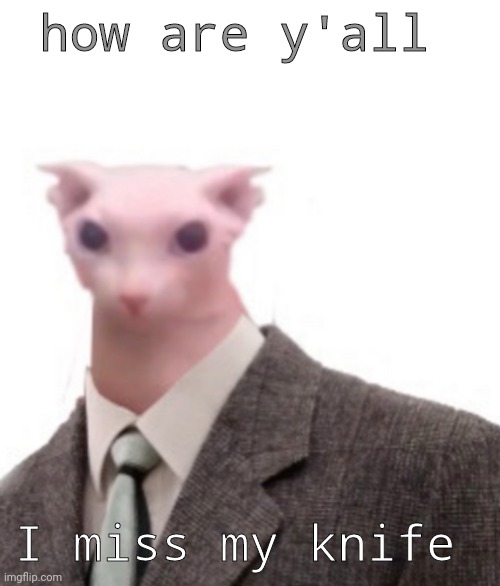 i'm at school | how are y'all; I miss my knife | image tagged in bingus | made w/ Imgflip meme maker