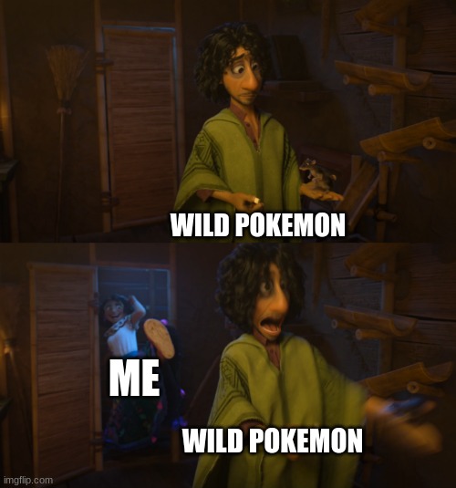 my pokemon catching stereotype | WILD POKEMON; ME; WILD POKEMON | image tagged in encanto bruno mirabel | made w/ Imgflip meme maker