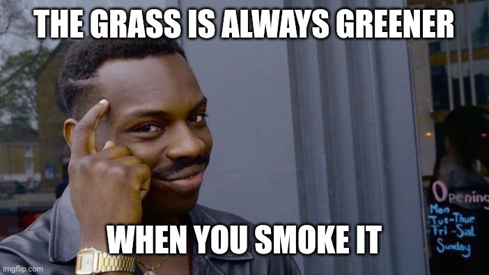 Roll Safe Think About It | THE GRASS IS ALWAYS GREENER; WHEN YOU SMOKE IT | image tagged in memes,roll safe think about it | made w/ Imgflip meme maker