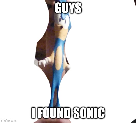 I found sonic | GUYS; I FOUND SONIC | image tagged in sonic the hedgehog | made w/ Imgflip meme maker