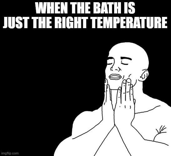 That refreshing meme | WHEN THE BATH IS JUST THE RIGHT TEMPERATURE | image tagged in that refreshing meme | made w/ Imgflip meme maker