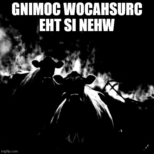 GNIMOC WOCAHSURC EHT SI NEHW | image tagged in egami dekael wocahsurc | made w/ Imgflip meme maker