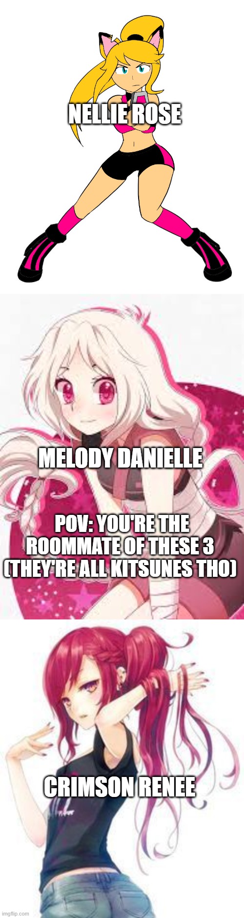 You're their roommate (they sisters) (No ERP, Romance is available for any of them) | NELLIE ROSE; MELODY DANIELLE; POV: YOU'RE THE ROOMMATE OF THESE 3  (THEY'RE ALL KITSUNES THO); CRIMSON RENEE | made w/ Imgflip meme maker