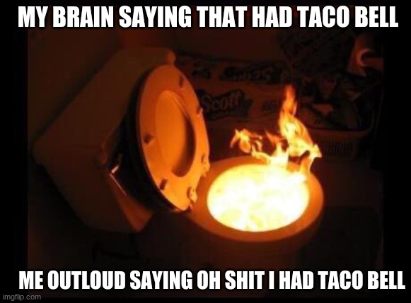 Toilet on fire | MY BRAIN SAYING THAT HAD TACO BELL; ME OUTLOUD SAYING OH SHIT I HAD TACO BELL | image tagged in toilet on fire | made w/ Imgflip meme maker