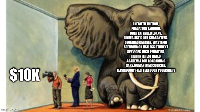 Elephant in the room | INFLATED TUITION, PREDATORY LENDING, OVER EXTENDED LOANS, UNREALISTIC JOB GUARANTEES, DEVALUED DEGREES, WASTEFUL SPENDING ON USELESS STUDENT SERVICES, HIGH PENALTIES, HIGH INTEREST RATES, ACADEMIA FOR ACADAMIA'S SAKE, HUMANITIES COURSES, TECHNOLOGY FEES, TEXTBOOK PUBLISHERS; $10K | image tagged in elephant in the room | made w/ Imgflip meme maker