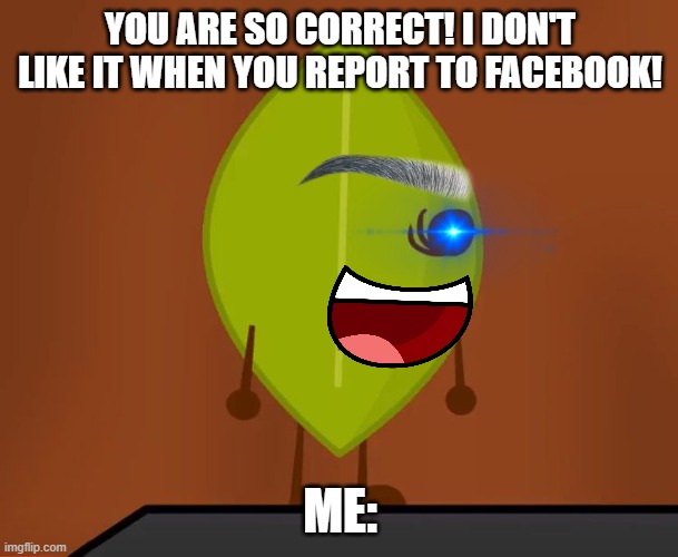YOU ARE SO CORRECT! I DON'T LIKE IT WHEN YOU REPORT TO FACEBOOK! ME: | image tagged in bfdi wat face | made w/ Imgflip meme maker