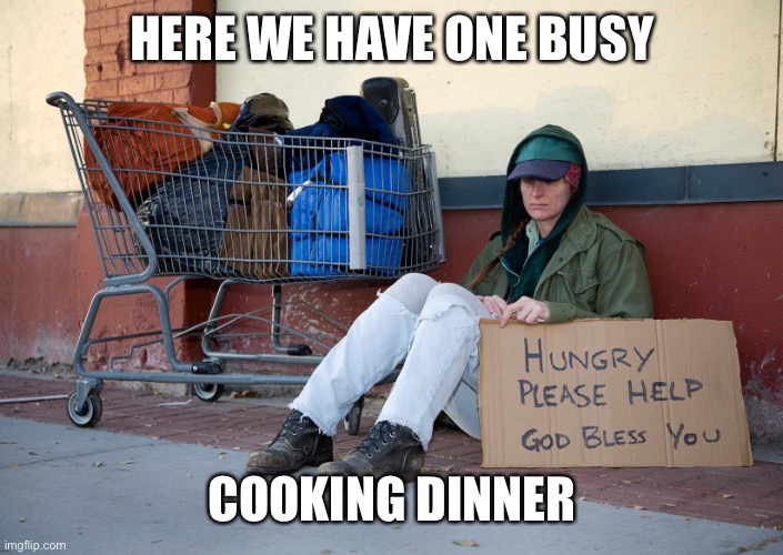 homeless woman with sign | HERE WE HAVE ONE BUSY COOKING DINNER | image tagged in homeless woman with sign | made w/ Imgflip meme maker