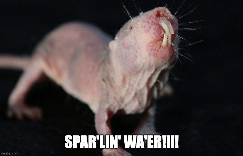 Andrew Tate | SPAR'LIN' WA'ER!!!! | image tagged in scumbag | made w/ Imgflip meme maker