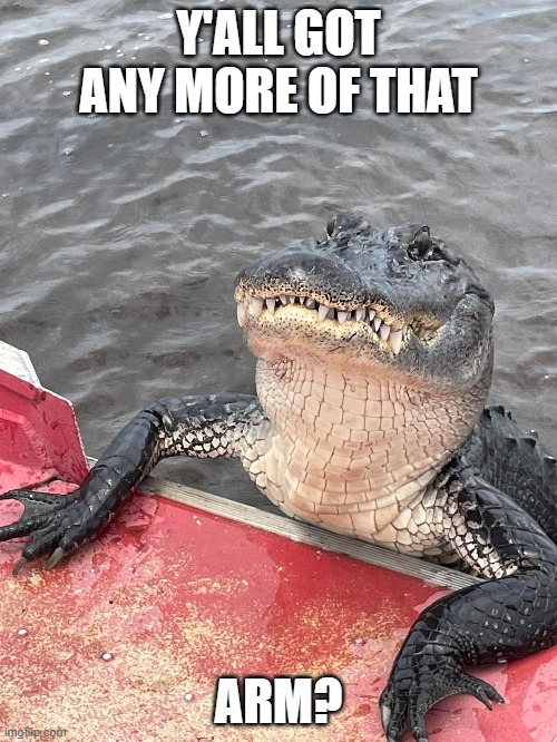 Alligator Chappelle Meme #1 |  Y'ALL GOT ANY MORE OF THAT; ARM? | image tagged in yall got any more of,florida,alligator,alligators,anime meme,funny animal | made w/ Imgflip meme maker