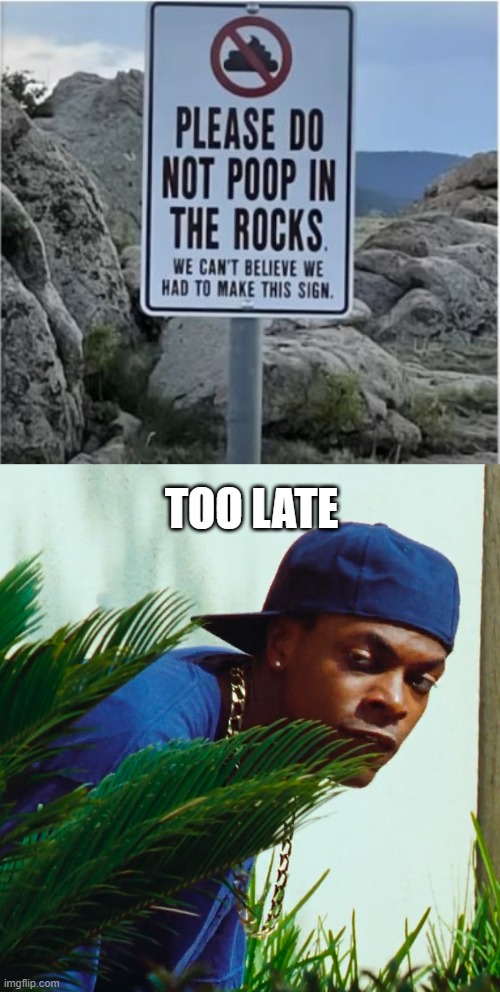 Squat | TOO LATE | image tagged in smokey taking a shit | made w/ Imgflip meme maker