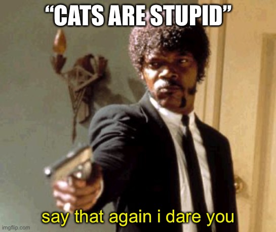 if you hate cats you have no soul | “CATS ARE STUPID”; say that again i dare you | image tagged in memes,say that again i dare you | made w/ Imgflip meme maker