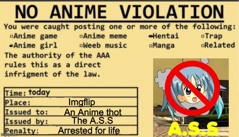 No Anime Violation A.S.S Edition | image tagged in no anime violation a s s edition | made w/ Imgflip meme maker