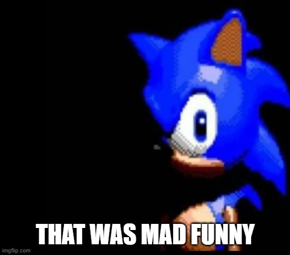 Sonic stares | THAT WAS MAD FUNNY | image tagged in sonic stares | made w/ Imgflip meme maker