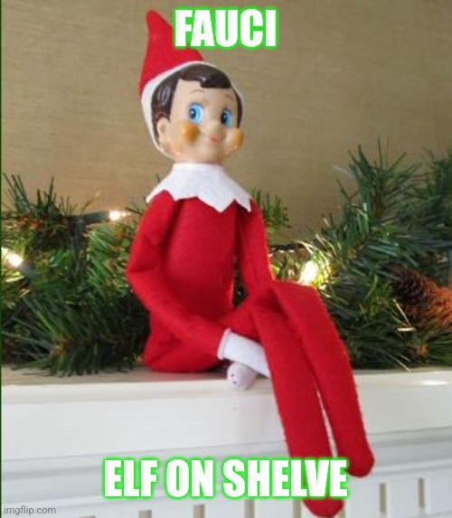 Elf on a Shelf | FAUCI; ELF ON SHELVE | image tagged in elf on a shelf | made w/ Imgflip meme maker