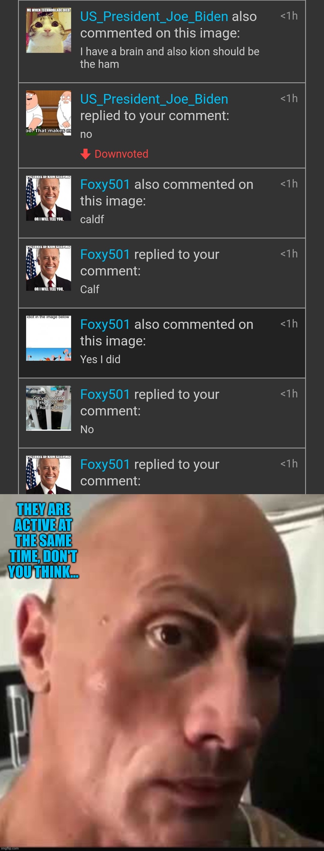 Proof Foxy501 IS US_President_Joe_Biden | THEY ARE ACTIVE AT THE SAME TIME, DON'T YOU THINK... | image tagged in dwayne johnson eyebrow raise | made w/ Imgflip meme maker