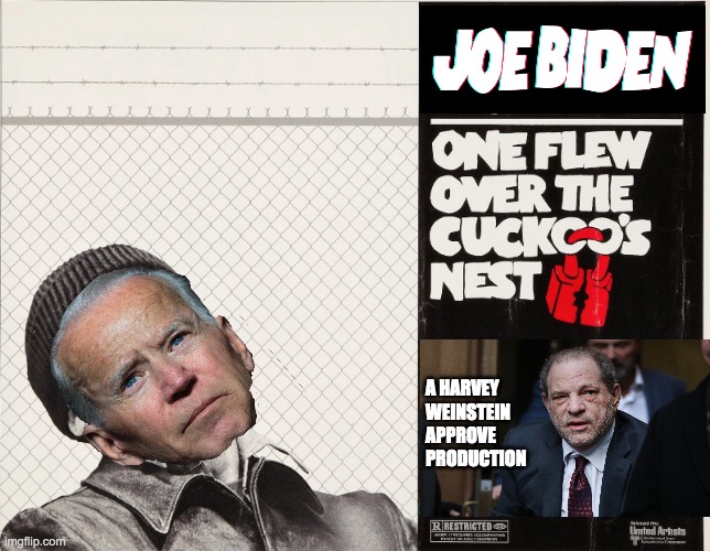 The inmates used to rub the hairs on my leg | A HARVEY WEINSTEIN APPROVE PRODUCTION | image tagged in biden,crazy,pervert,senile,demented | made w/ Imgflip meme maker