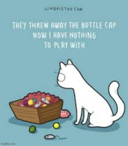 A Cat's Way Of Thinking | image tagged in memes,comics,cats,bottle cap,trash,how dare you | made w/ Imgflip meme maker