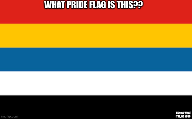 Idk… I’m not sure… lol | WHAT PRIDE FLAG IS THIS?? *I KNOW WHAT IT IS, DO YOU? | image tagged in flag | made w/ Imgflip meme maker