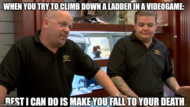 Right!? | WHEN YOU TRY TO CLIMB DOWN A LADDER IN A VIDEOGAME:; BEST I CAN DO IS MAKE YOU FALL TO YOUR DEATH | image tagged in pawn stars best i can do | made w/ Imgflip meme maker