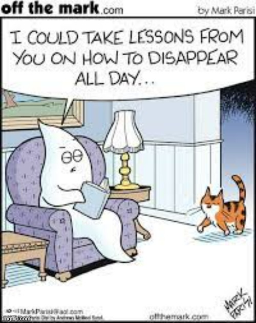 image tagged in memes,comics,cats,disappearing,lesson,ghost | made w/ Imgflip meme maker