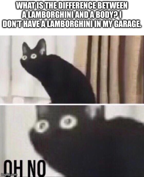 Oh no cat | WHAT IS THE DIFFERENCE BETWEEN A LAMBORGHINI AND A BODY? I DON'T HAVE A LAMBORGHINI IN MY GARAGE. | image tagged in oh no cat,dead,cars,garage | made w/ Imgflip meme maker