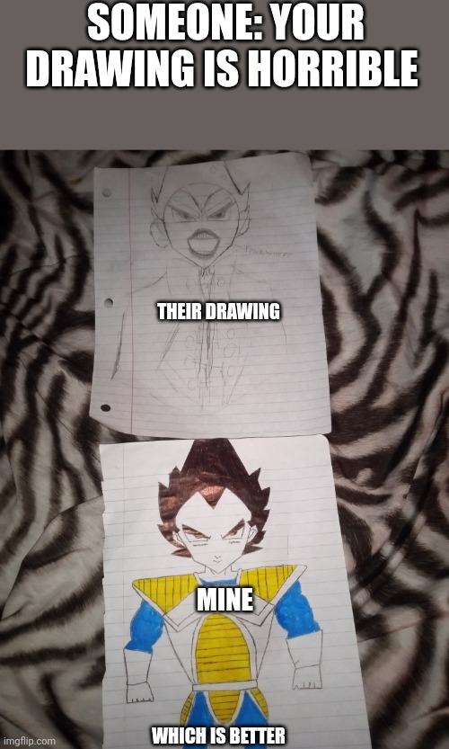 SOMEONE: YOUR DRAWING IS HORRIBLE; THEIR DRAWING; MINE; WHICH IS BETTER | made w/ Imgflip meme maker